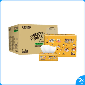 清风 抽纸 卡通小浣熊面巾纸卫生纸抽 3层100抽 24包 整箱 BR40AB