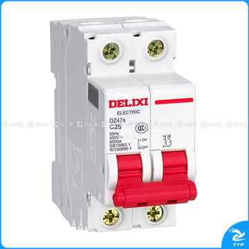 德力西 微型断路器 DZ47SN2C25 2P25A (白色)