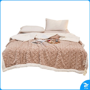 婵思 CHANSI 塔芙绒保暖双层保暖盖毯 CTK0220065L 200*230cm 约2500g/条 (浅卡其) (袋)