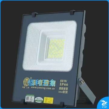 LED投光灯户外景观灯防水照明灯 50W