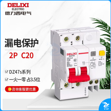 德力西电气漏电保护器2P 家用空开总闸断路器漏保空气开关DZ47SLE 20A