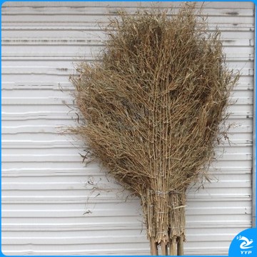 巨联（JULIAN）Z165 竹扫把 