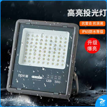 久量（DP）LED投光灯园林照明投射灯 PI65防水户外大功率探照灯工业路灯-50W DP-QPTG50D 