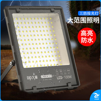 久量（DP）LED投光灯园林照明投射灯 PI65防水户外大功率探照灯工业路灯100W DP-QPTG100D 