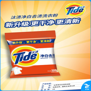 汰渍 洗衣粉(小袋) 508克/袋