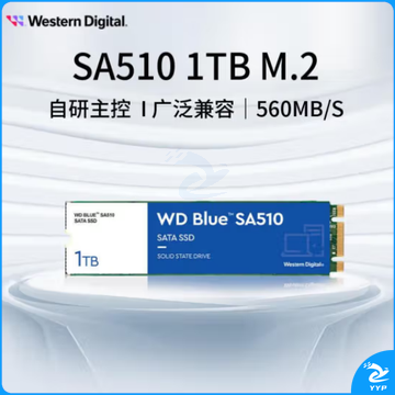 西部数据（WD) 1TB 笔记本台式机电脑 SSD固态硬盘 SA510 SATA M.2接口 Blue系列 3D技术  WDS100T3B0B  