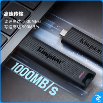 金士顿（Kingston）256GB USB3.2 超极速固态U盘 DTMAX Type-C 手机U盘 读速高达1000MB/s 写900MB/s  