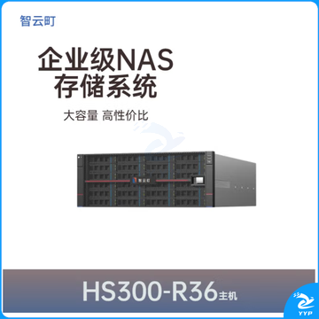 智云町HS300-R36 36*10TB 360TB双万兆NAS网络存储