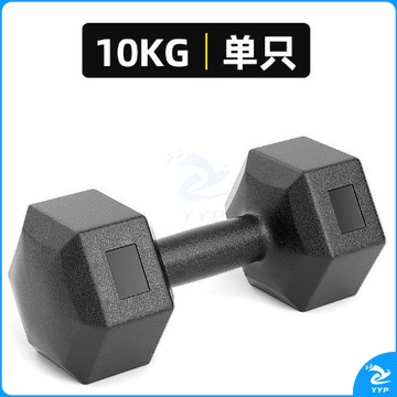 哑铃 六角哑铃 10公斤六角哑铃  2个/组