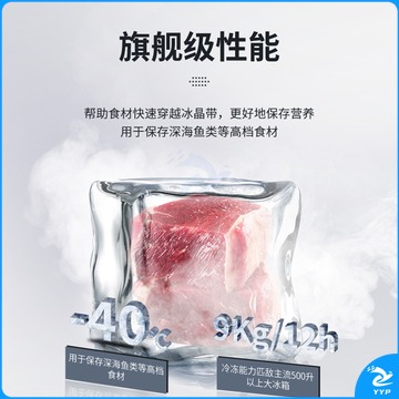 澳柯玛（AUCMA）236升立式冷柜风冷家用无霜电脑温控商用冷藏冷冻冰柜母婴母乳冰箱以旧换新BD-236WSPG