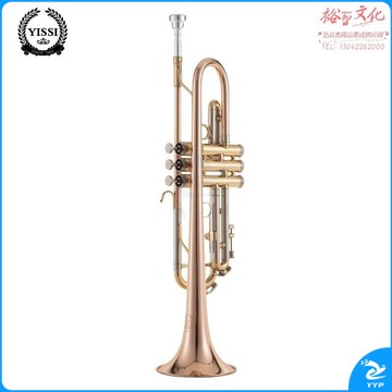 英国雅赛(YISSI)YTR-6350 小号 降B调西洋管乐器 磷铜 初学考级演奏通用乐器 602919