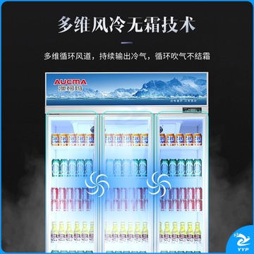澳柯玛（AUCMA）风冷无霜展示柜饮料陈列柜果蔬保鲜柜超市饭店冷藏柜酒吧KTV商用啤酒柜冰箱冰柜LSC-1020DW