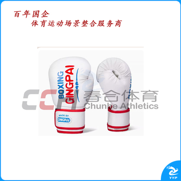 竞派 活力拳套 QJ-6 4  6oz