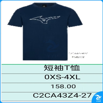 短袖T恤C2CA43Z4-27