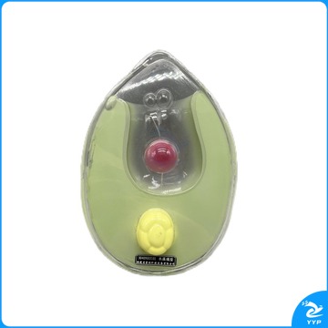 科源/ Longhorn 科源 KY-S039 衣藻模型 教学仪器