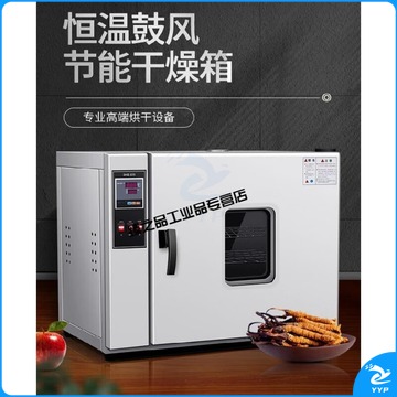 迈恻亦 定制定制高温烤箱实验室用烘干设备大型工业烘箱鼓风循环烘干箱电热大 500-2B不锈钢内胆