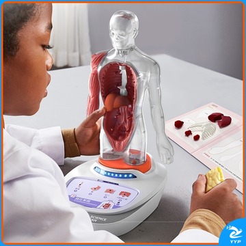 希玛/SMART SENSOR 科学罐头160022 装置 科学罐头 人体模型玩具Steam智力发展早教玩具我们的身体语音百科节日礼物 安全用仪器