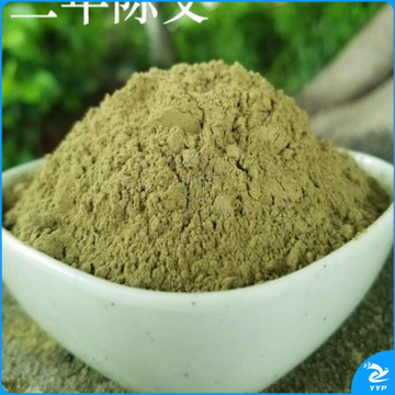 天爱 阳光普照艾粉