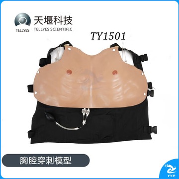 天堰科技/ TELLYES TELLYES SCIENTIFIC 采之采天堰科技TELLYES 胸腔穿刺模型 专业仪器仪表 教学仪器