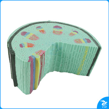 天爱/CELESTIAL LOVE 双子叶草本植物茎模型 教具 初高中学生物教学仪器 实验器材