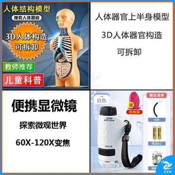 装置 鲜玫瑰人体模型玩具 人体器官骨骼模型儿童医学解剖拆卸躯干仿真身体内 器官上半身+便携显微镜白色 安全用仪器