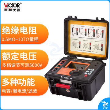 胜利仪器（VICTOR）高压绝缘电阻测试仪 漏电流电压电容测试 VC9620