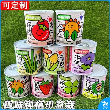 卡通易拉罐盆栽室内迷你桌面小绿植儿童种植网红罐头观景盆栽批发 20个起售
