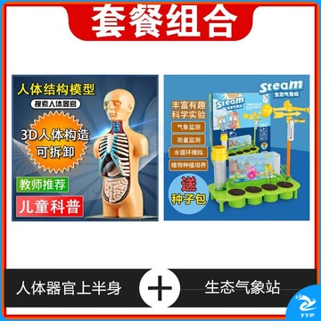 装置 鲜玫瑰人体模型玩具 人体器官骨骼模型儿童医学解剖拆卸躯干仿真身体内 器官上半身+生态气象站 安全用仪器