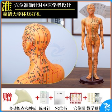 黑狗 BLACK DOG 装置 人体针灸模型人经络穴位中医全身十二铜人模特图可扎针练习小皮人 铜男硬模超清(手可转)52cm(荐) 安全用仪器