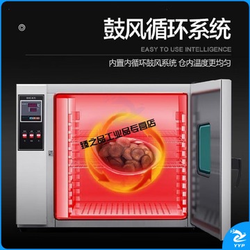 迈恻亦 定制定制高温烤箱实验室用烘干设备大型工业烘箱鼓风循环烘干箱电热大 101-4A镀锌内胆