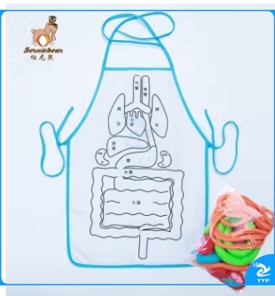 逸风雅致 消化系统肚兜  幼儿园科学发现室人体消化系统肚兜模型器官内脏教学用具早教教具 消化肚兜中文版