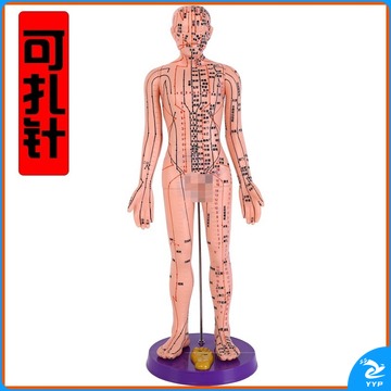 科达丽/KODARLY K 装置 子彧（ZIYU） 可扎针软模型 中医经络图针灸铜人模型全身男女小人铜人超清晰刻字版 人体穴位 50CM粉色男（可扎针） 安全用仪器