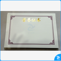 聘书   荣誉证书内芯 聘书 定制