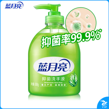 蓝月亮洗手液 芦荟抑菌 500g/瓶
