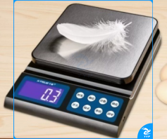 高精度电子秤 货号：GD