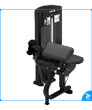 美国必确PRECOR RSL0204 肱二头肌弯举训练器