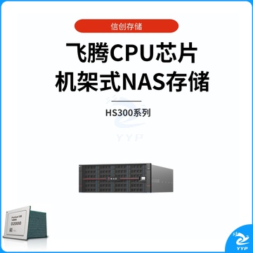 智云町国产信创存储HS312+，飞腾D2000 CPU 16G内存，带12块8T希捷企业级硬盘 ，容量96TB
