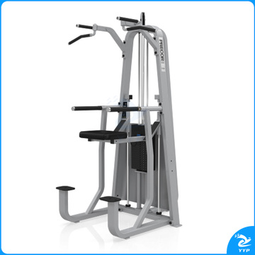 美国必确PRECOR 320 臂屈伸/引体向上训练器