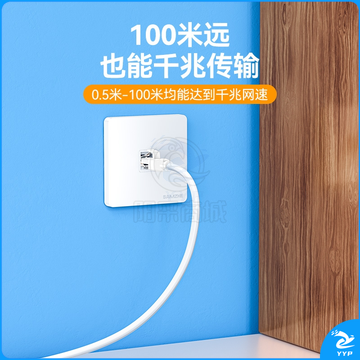 山泽（SAMZHE）BTM-6500 六类网线 白色50米