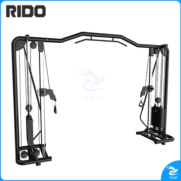 力动RIDO 大飞鸟 RD517