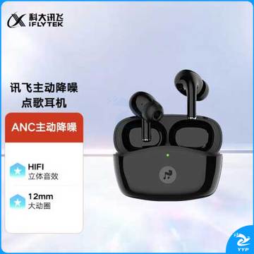 科大讯飞 XFXK-B02 真无线蓝牙耳机 主动降噪入耳式耳机 HIFI音乐点歌耳机 苹果华为小米手机通用 黑色